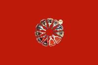 内江隆昌回收红酒